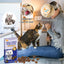 HavenJanny 20pcs Dried Silvervine Gall Fruit, Natural Silver Vine Cat Chew Toy