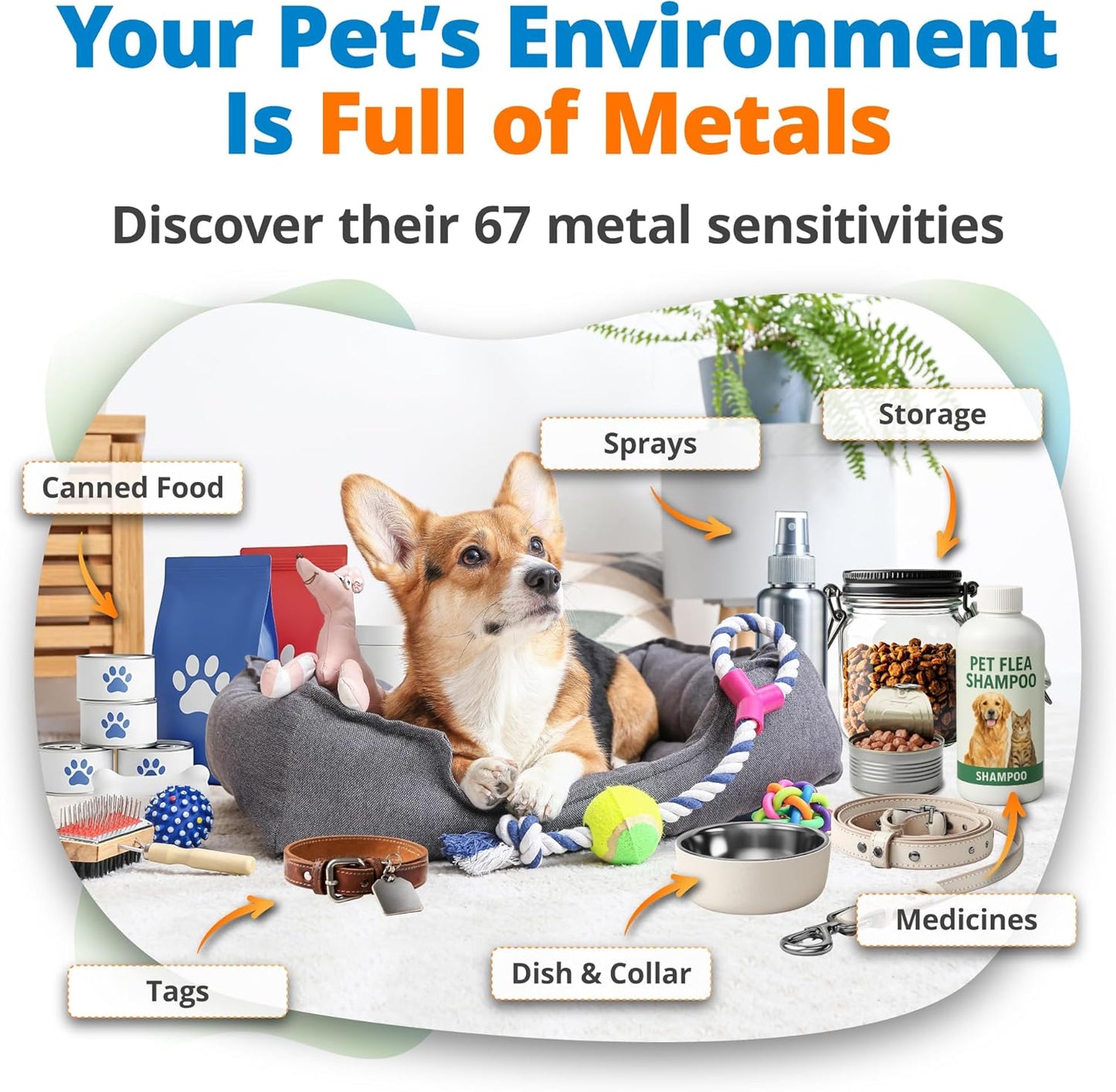 5Strands Pet Heavy Metal Sensitivity Test, at Home Hair Sample Test for Dogs and Cats, Identify Environmental Exposures, Create a Proactive Elimination Plan, Results in 4 Days
