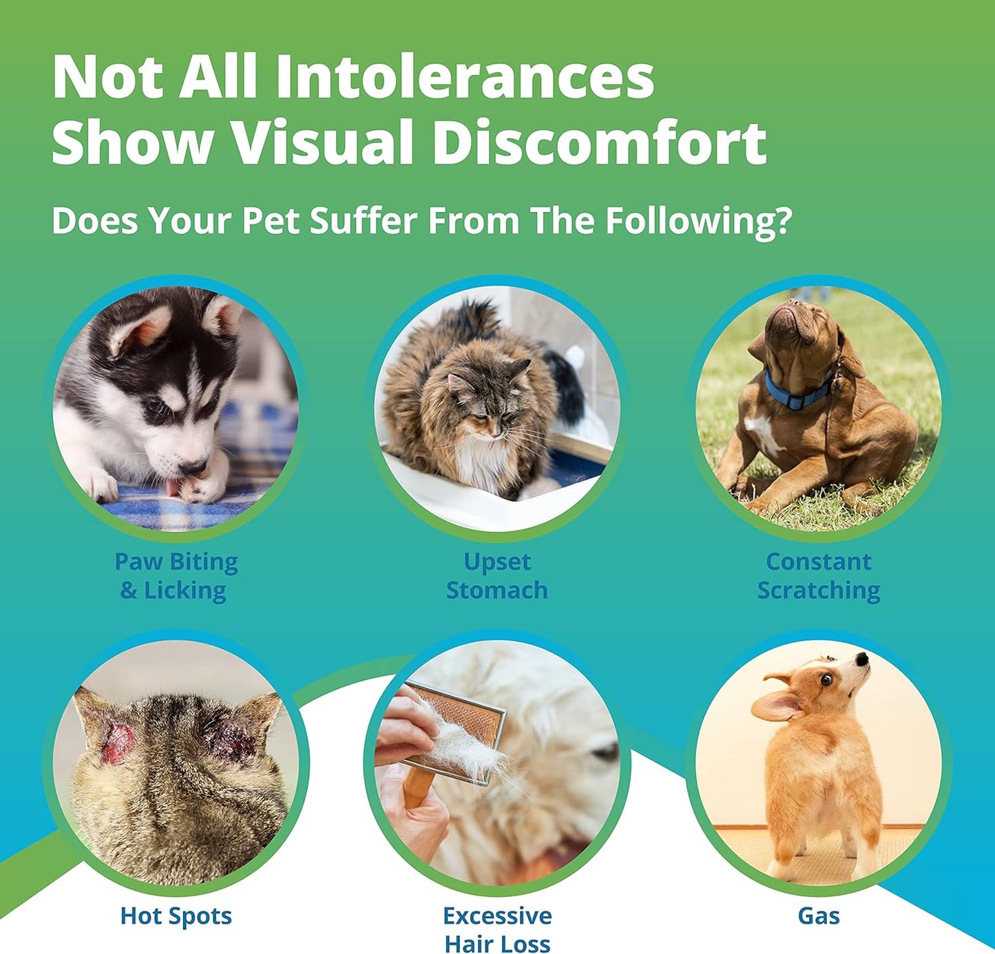 5Strands Pet Food & Environmental Intolerance Test for Dogs & Cats