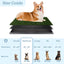 PETMAKER Artificial Grass Bathroom Mat for Puppies and Small Pets- Portable Potty Trainer for Indoor and Outdoor Use by - Puppy Essentials, 20" x 25\