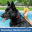 Educator ET-302 Mini E Collar for Dog Training with Remote - 1/2 Mile Range, Waterproof, 100 Blunt Stimulation Levels, Tone or Vibration Mode, Night Light for Small, Medium & Large Dogs (2 Dogs)