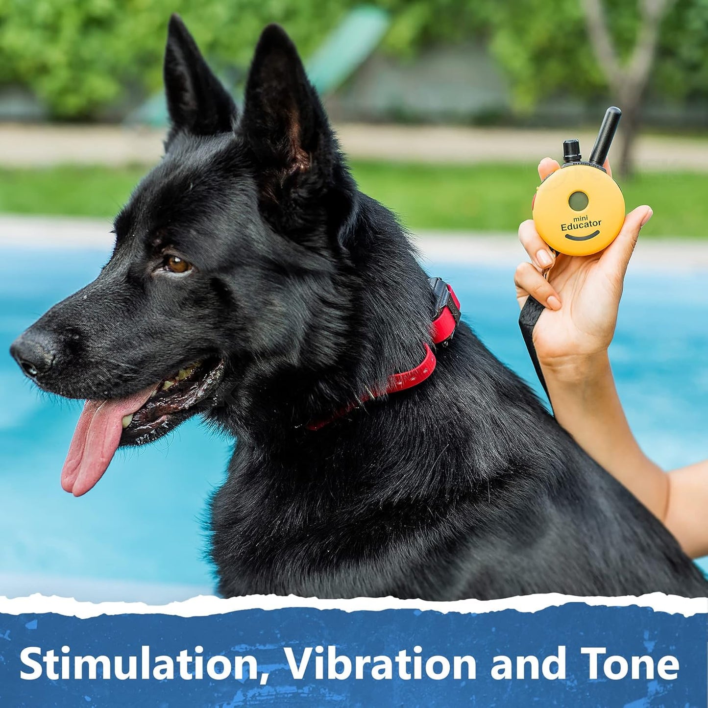 Educator ET-302 Mini E Collar for Dog Training with Remote - 1/2 Mile Range, Waterproof, 100 Blunt Stimulation Levels, Tone or Vibration Mode, Night Light for Small, Medium & Large Dogs (2 Dogs)