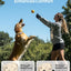 Jugbow Dog Training Collar - 4200FT Remote Dog Collar with 3 Training Modes(Beige)