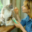 INABA Churu Bites for Cats, Soft Baked Chicken Churu Filled Cat Treats with Green Tea Extract, 9.92g Each Tube, 18 Tubes