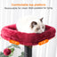 Heybly Cat Tree with Toy, Cat Tower condo for Indoor Cats