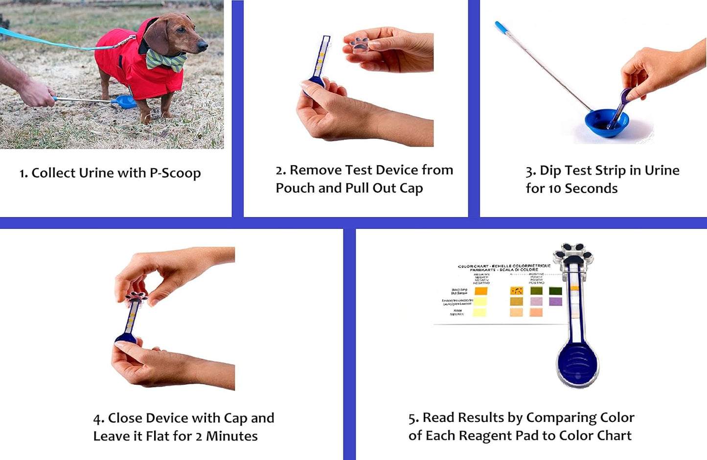 UTI Test Kit for Dogs with Reusable P-Scoop Telescopic Urine Collector