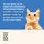 Applaws 100% Natural Wet Cat Food Tuna Fillet with Salmon in Broth, Limited Ingredients Pet Food 70g Pouch (Pack of 16)