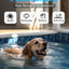 Jugbow Dog Training Collar - 3/4 Mile Remote Dog Collar with 3 Training Modes, Electric Collars with LED Light & Security Lock, IPX8 Waterproof Rechargeable E-Collar for Large Medium Small Dogs (Blue)