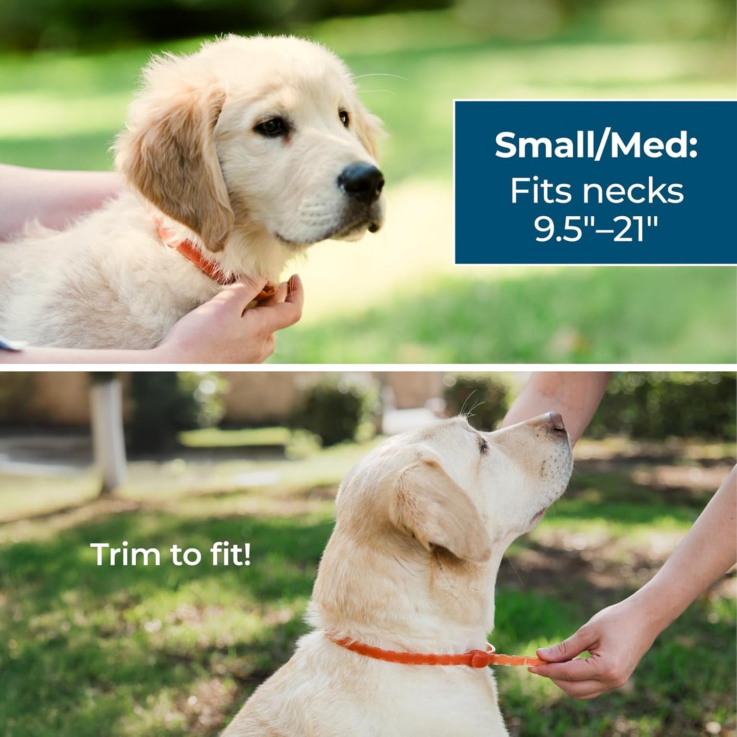Wondercide Dog Collar - Flea, Tick, and Mosquito Repellent for Dogs