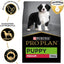 PRO Plan Puppy Dry Dog Food Medium Breed Chicken 15kg