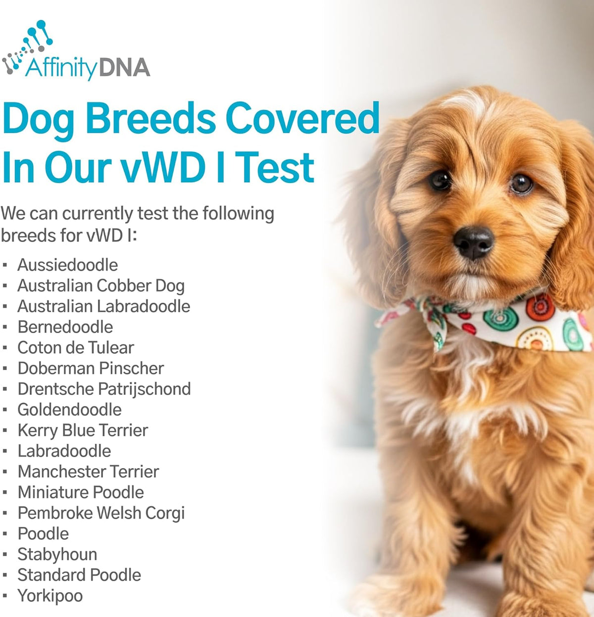 AffinityDNA Dog von Willebrand DNA Test for von Willebrand’s Disease T ...