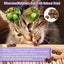 HavenJanny 20pcs Dried Silvervine Gall Fruit, Natural Silver Vine Cat Chew Toy