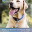 Natural Flea & Tick Repellent Collar Tag for Dogs & Cats – BioPower Pet Shield – Safe for Pets When Used as Directed – Lasts 1 Full Year - Regular Tag (1Pack)