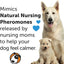 ThunderEase Calming Anti Anxiety Pheromone Collar for Dogs (Small)