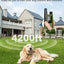 Jugbow Dog Shock Collar - 4200FT Dog Training Collar with Remote Innovative IPX7 Waterproof with 4 Training Modes, Rechargeable E-Collar for All Breeds
