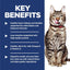 Hill's Science Diet Senior Adult 7+ Indoor, Chicken Recipe, Dry Cat Food for Older Cats, 3.17kg Bag