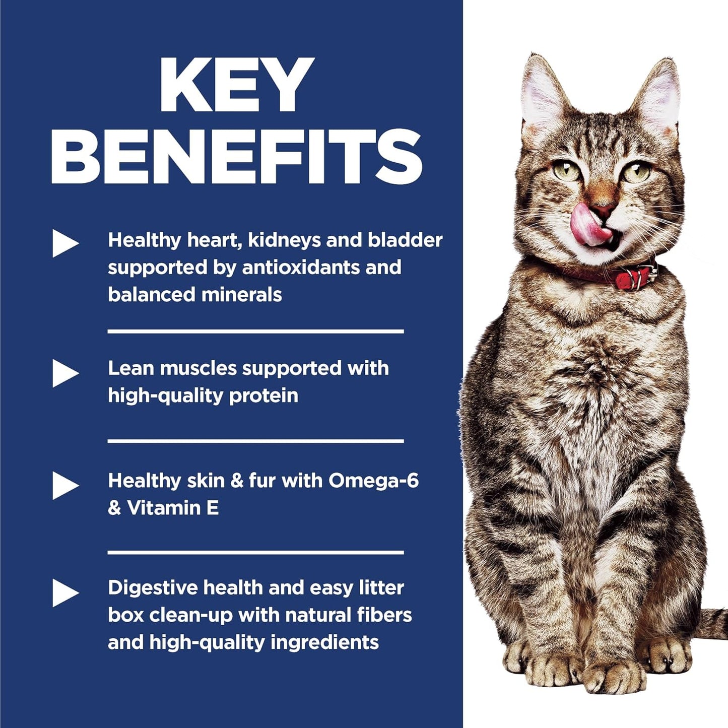 Hill's Science Diet Senior Adult 7+ Indoor, Chicken Recipe, Dry Cat Food for Older Cats, 3.17kg Bag