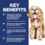Hill's Science Diet Senior Adult 11+ Small Paws, Chicken Meal, Barley and Brown Rice Recipe, Dry Dog Food for Older Small And Toy Breed Dogs, 2.04kg Bag