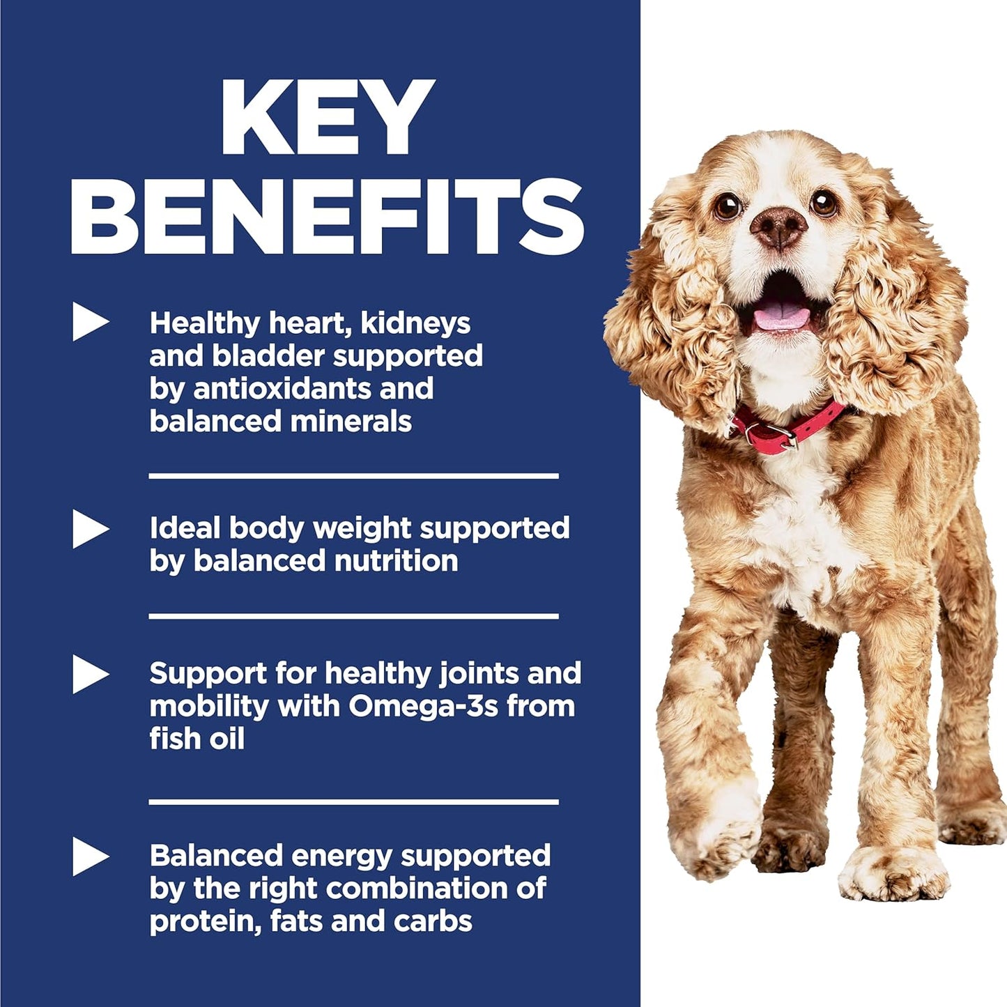 Hill's Science Diet Senior Adult 11+ Small Paws, Chicken Meal, Barley and Brown Rice Recipe, Dry Dog Food for Older Small And Toy Breed Dogs, 2.04kg Bag