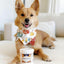 Petpost | Dog Ear Cleaner Wipes - Ultra Soft Cotton Pads in Coconut Oil Aloe Solution - Dog Ear Rinse & Cleanser 100 ct