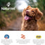 NaturVet All-in-One 4-IN-1 Support for Dogs, 120 ct Soft Chews, Made in USA