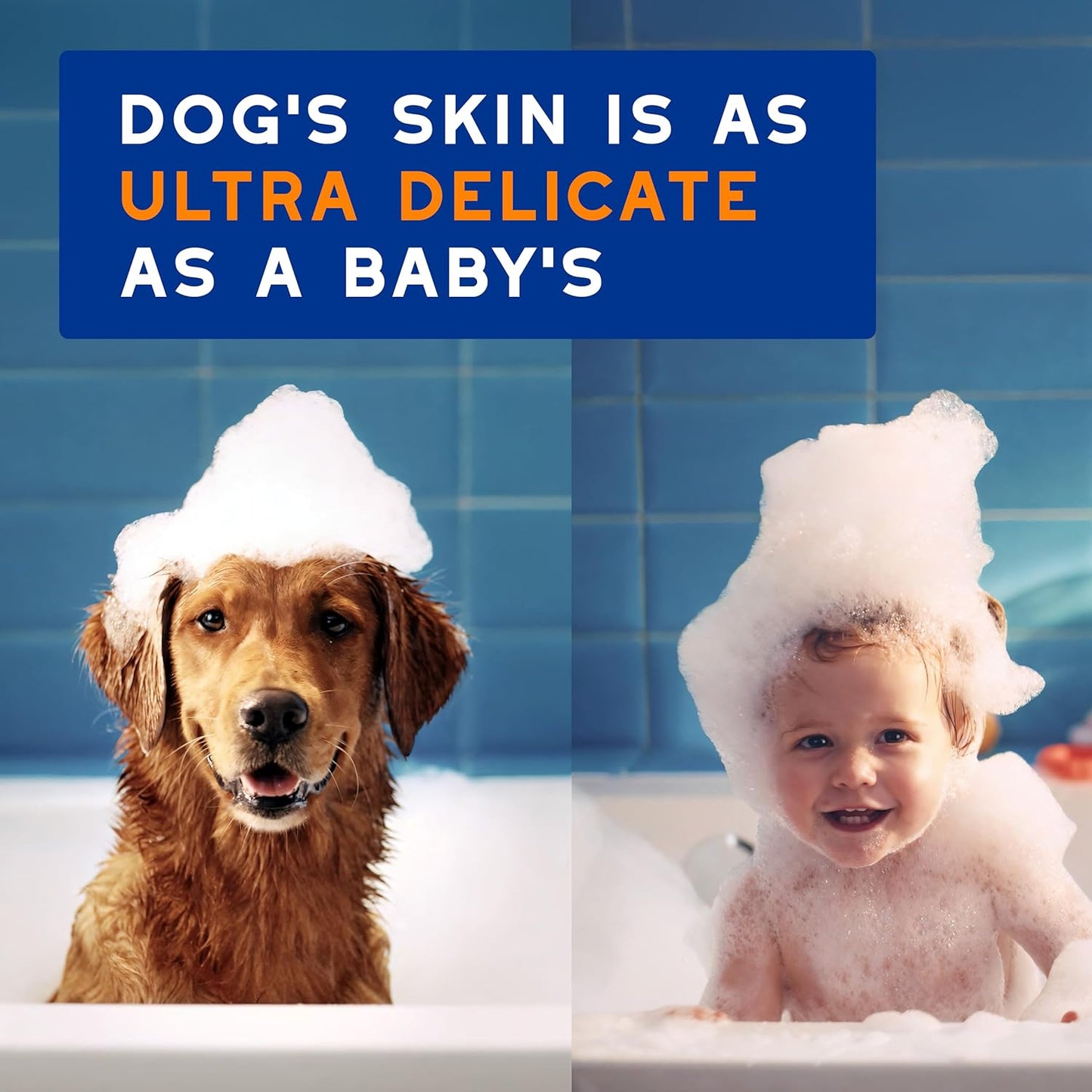 DOUXO® Skin & Coat SPA - Ultra-Safe 2 in 1 Conditioning Dog Shampoo, 16 fl oz, Cleans and Deeply Hydrates The Skin, Leaves The Coat Soft, Silky and Detangled, Skin-Friendly Formula