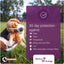 Vectra 3D for Dogs Flea, Tick & Mosquito Treatment & Prevention for Medium Dogs (21 – 55 lbs) , 6 month supply