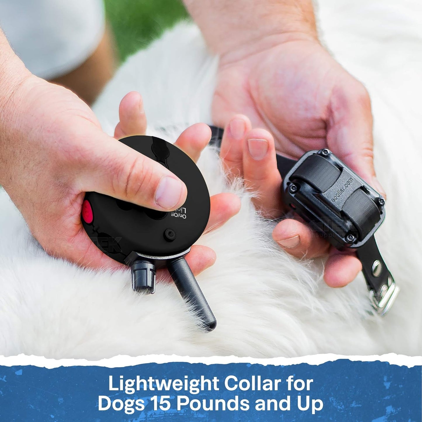 Educator ET-300 Black Mini E Collar for Dog Training with Remote - 1/2 Mile Range, Waterproof, 100 Blunt Stimulation Levels