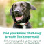 TropiClean Fresh Breath Water Additive for Dogs, Dog Breath Freshener and Teeth Cleaning Solution, No Toothpaste or Toothbrush Required, 33.8oz. Visit the TropiClean Store