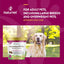NaturVet Glucosamine DS Plus Level 2 Moderate Joint Care for Dogs and Cats, 70 ct Soft Chews, Made in USA