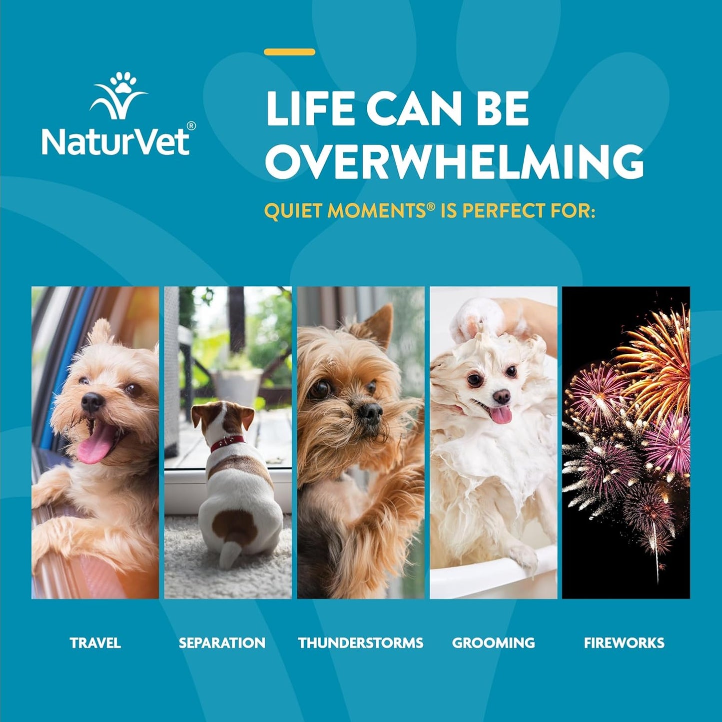 NaturVet Quiet Moments Calming Aid Dog Supplement