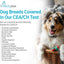 AffinityDNA Dog Collie Eye Anomaly Choroidal Hypoplasia (CEA/CH) DNA Test | Home Sample Collection Kit for 1 Dog | Results in 7 Working Days |