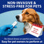 Pet H. Pylori Health Check Kit (2-Pack) – at-Home Testing for Dogs & Cats, Quick Results & Stress-Free Care