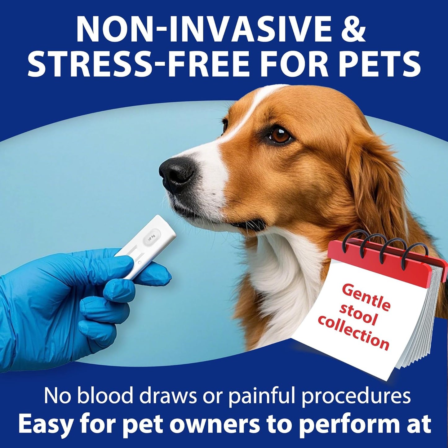 Pet H. Pylori Health Check Kit (2-Pack) – at-Home Testing for Dogs & Cats, Quick Results & Stress-Free Care