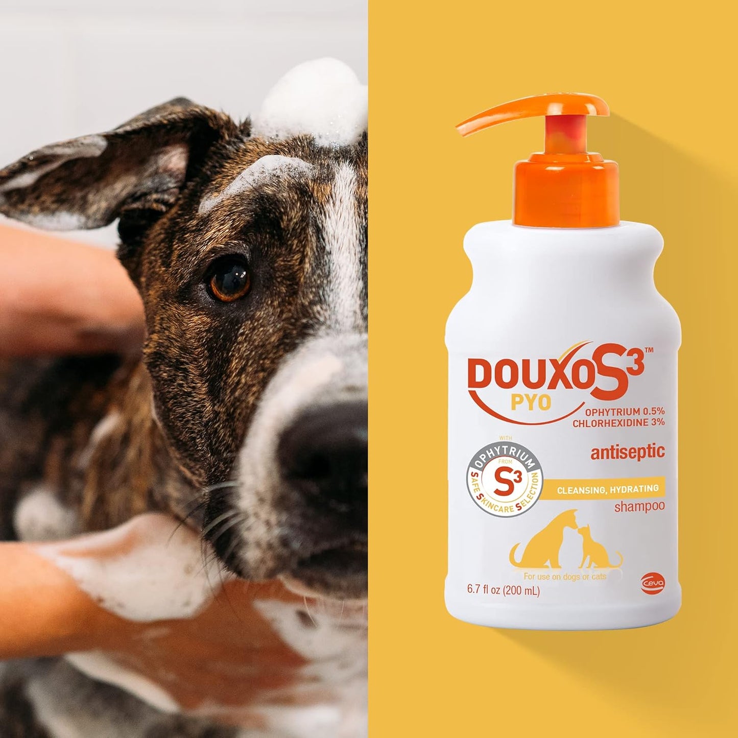 Douxo S3 Pyo Shampoo, Contains 3% Chlorhexidine & 0.5% Ophytrium, Antiseptic & Hydrating (200mL)