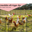 Beastie Foldable Pet Dog Metal Playpen 24", 8 Panels Folding Dog Play Pen Frame for Puppy