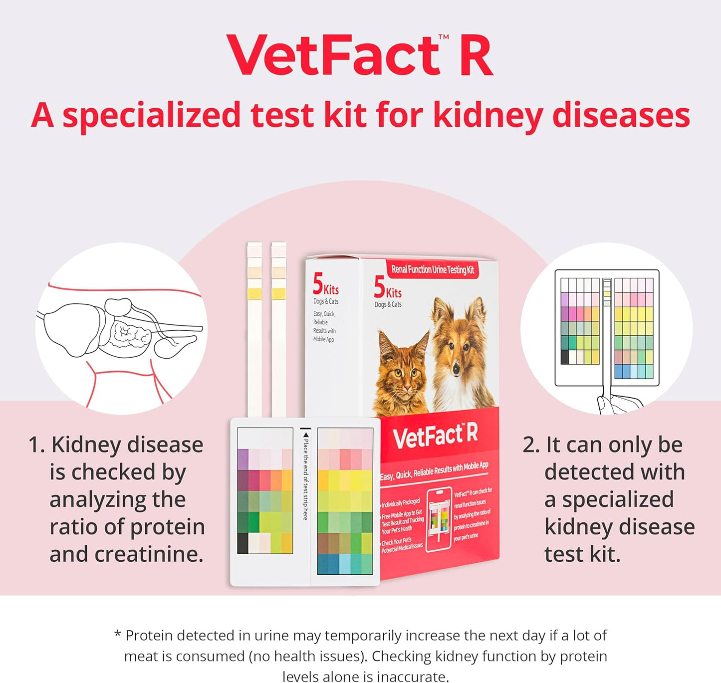 Urine Test Strips for Dogs & Cats, Renal Function Test at Home