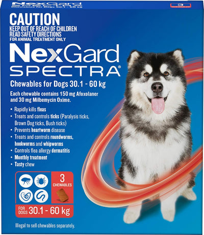 Nexgard Spectra Chewables for Dogs 30.1-60 kg (Pack of 3)