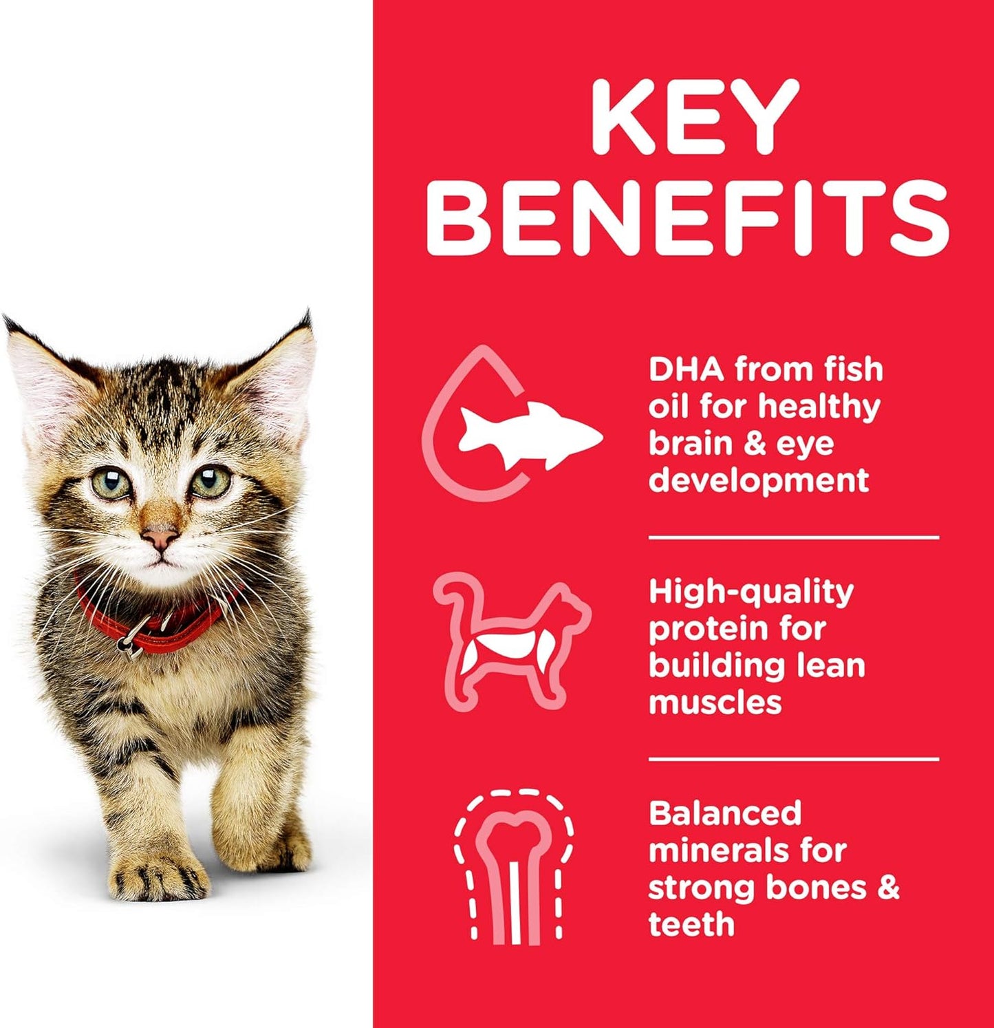 Hill's Science Diet Kitten Wet Cat Food, Ocean Fish, 85g, 12 Pack, Cat Food Pouches