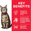 Hill's Science Diet Adult Wet Cat Food, Chicken, 85g, 12 Pack, Cat Food Pouches