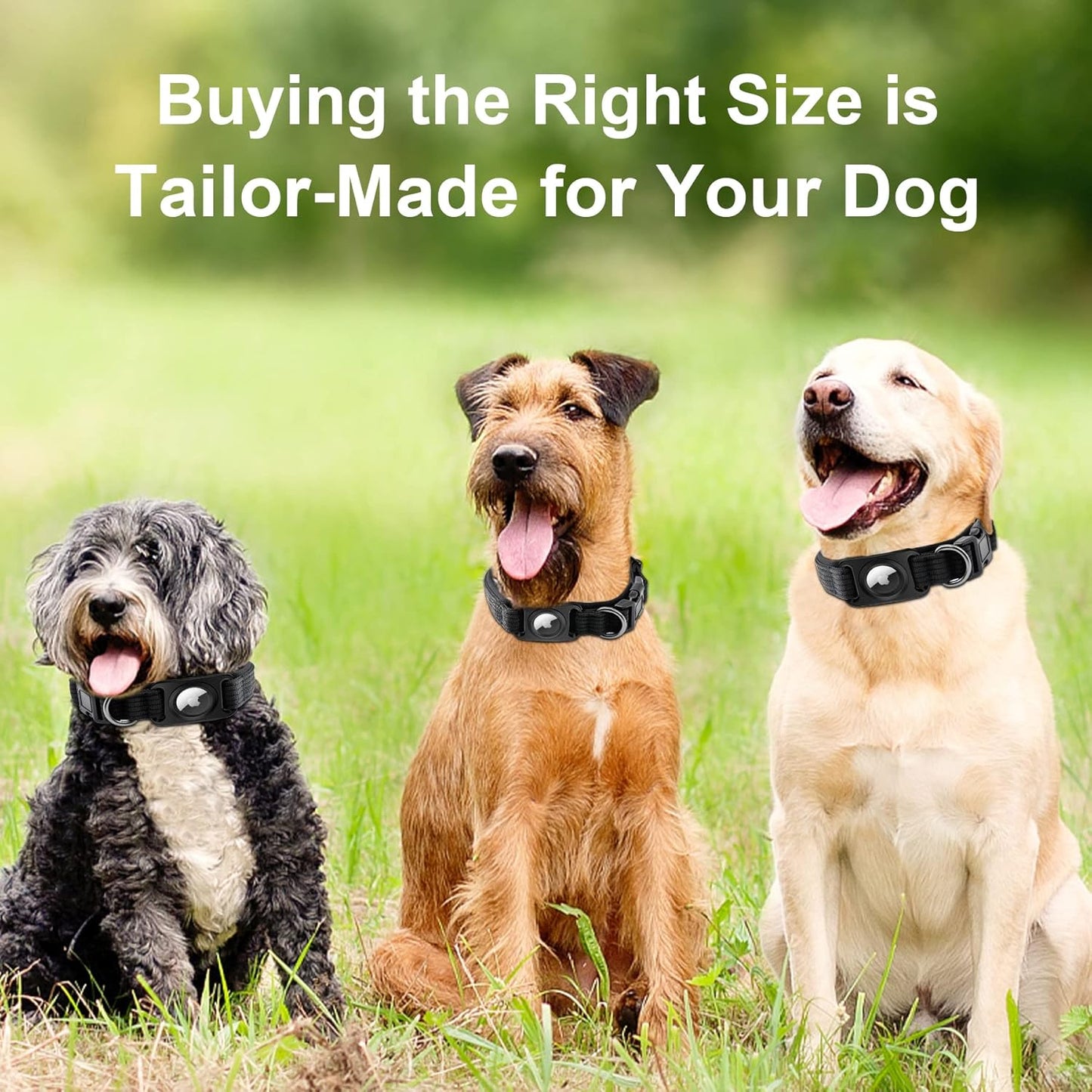 Waterproof Airtag Dog Collar, Padded Apple Air Tag Dog Collar, Heavy Duty Dog Collar with AirTag Holder [Full Body Covered] L