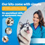 Dog Health Test Kit: 4 Comprehensive Detection Pet Test Strips for Dogs | Pets Rapid At-Home Detection Kits