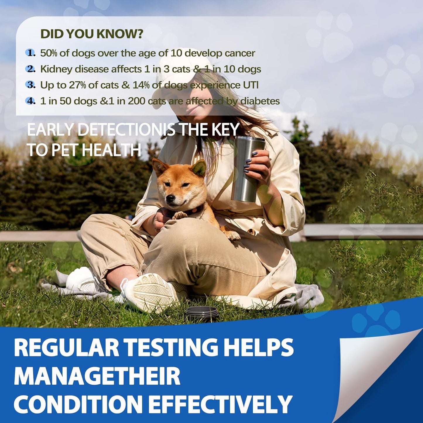 60-Count Pet Urine Test Strips for Dogs & Cats - Accurate 10-in-1 Rapid UTI and Health Diagnostic Kit