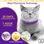 4 Pack Calming Collar for Cats – Pheromone Cat Calming Collar Cat Anxiety Relief and Stress – Adjustable Water Resistant Breakaway Calming Collars Natural Ingredients Pheromones Rapid Effect