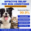 Hydrocortisone 1% Spray for Dogs & Cats – Fast Itch Relief for Hot Spots, Dermatitis, Flea Bites, Allergies & Skin Irritations | Advanced Skin Care Formula | 120ml