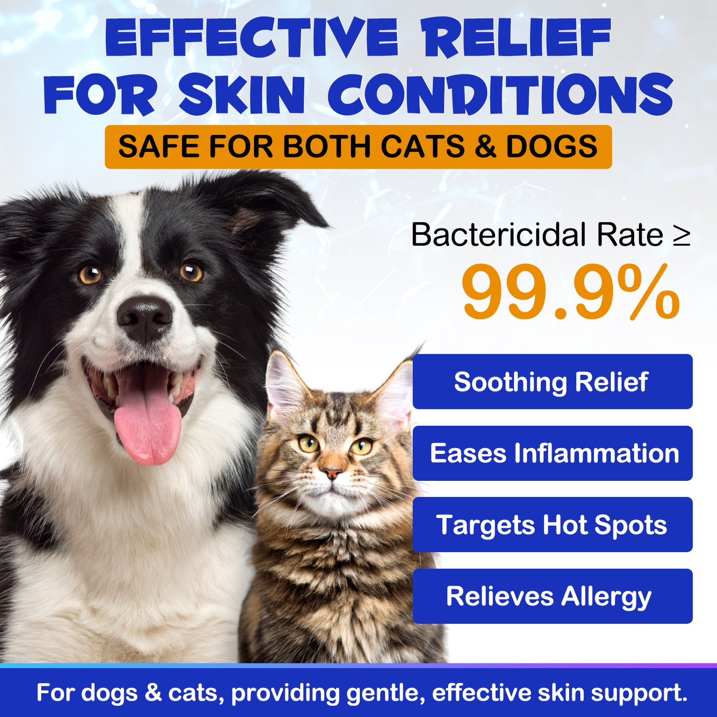 Hydrocortisone 1% Spray for Dogs & Cats – Fast Itch Relief for Hot Spots, Dermatitis, Flea Bites, Allergies & Skin Irritations | Advanced Skin Care Formula | 120ml