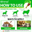 Natural Antibiotic Drops for Dogs – Gentle Daily Immune & Infection Support
