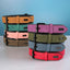 Didog Soft Padded Leather Dog Collar, Breathable Heavy Duty Dog Collar Leather with Adjustable Rust-Proof Metal Buckle for Small Medium Large Dogs, Brown, M