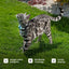 Tractive Smart Cat GPS Tracker | Real-Time Location & Wellness Monitoring for Cats 6.5 lbs+