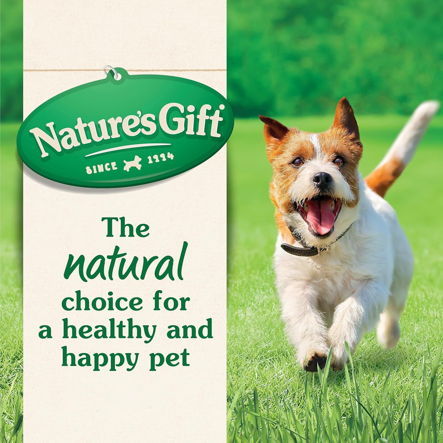 Nature's Gift Adult Dry Dog Food, Beef 2.5kg - 100% Complete & Balanced Nutrition, Supports Digestion, Immunity & Skin Health